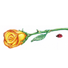 "Rose and Ladybug"